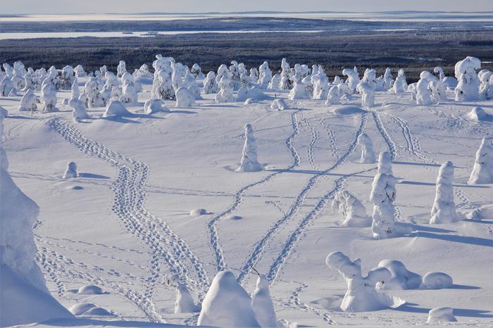 Lunta Riisitunturilla helmikuussa 2020.